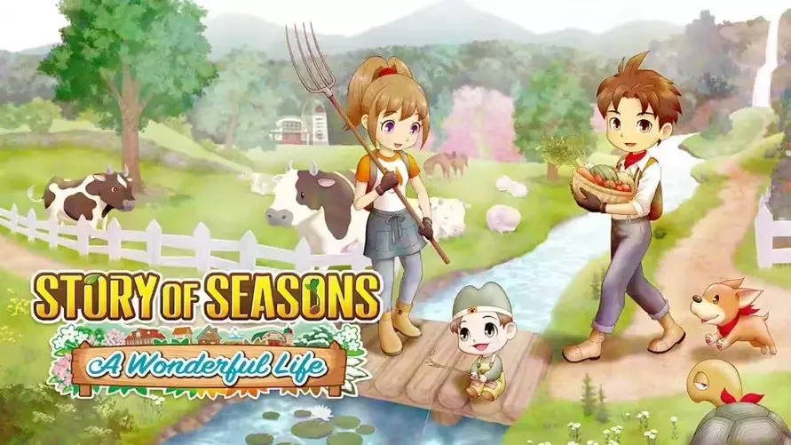 Story of Seasons A Wonderful Life